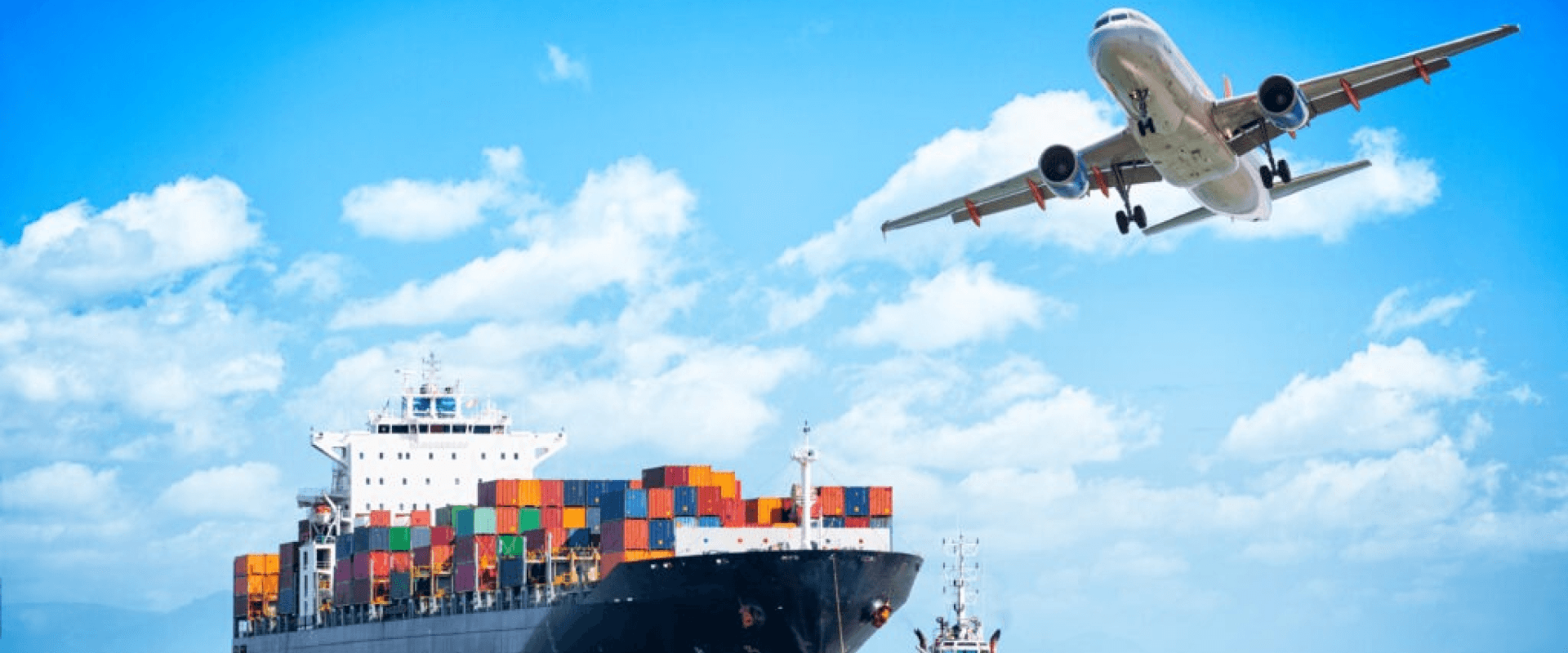 A Shipper's Comprehensive Manual on Cross Border Shipping
