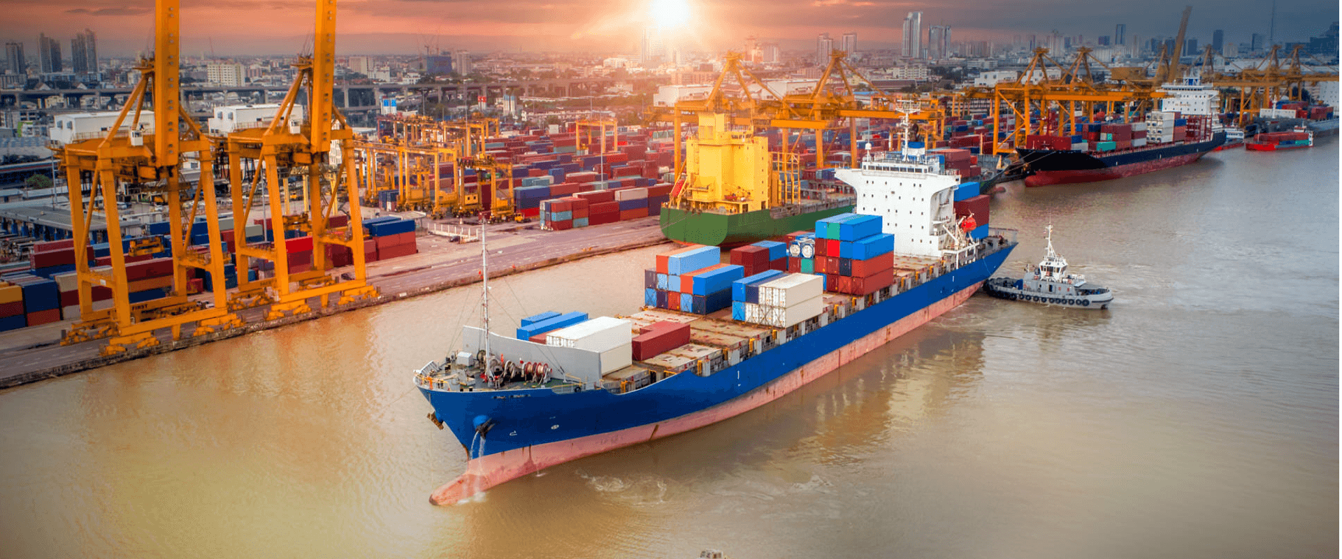 Courier vs. Postal: Cross-Border Delivery Pros & Cons