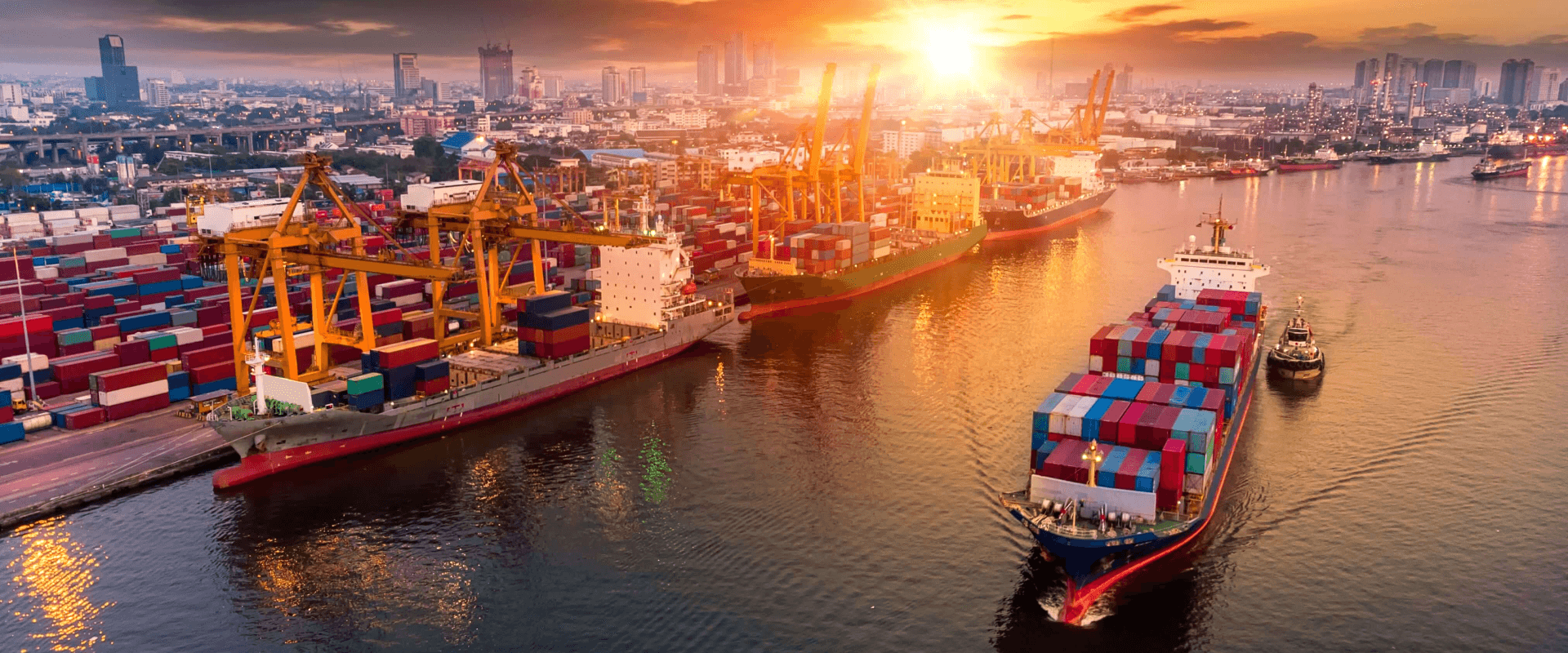 Ecommerce Logistics: Tips For Achieving Seamless Operations