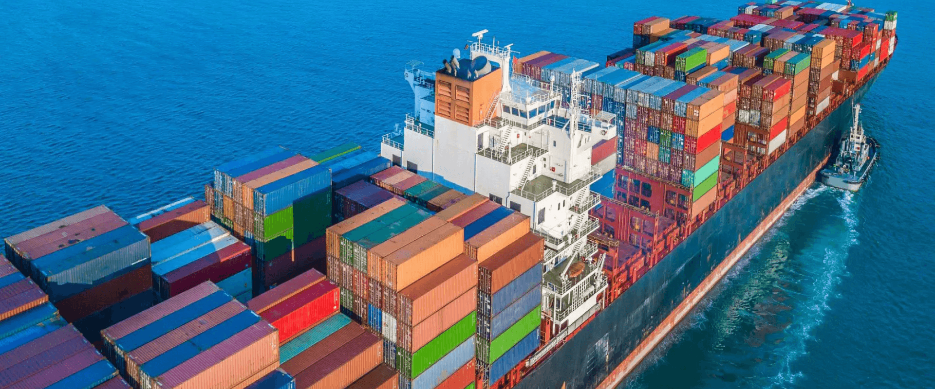 FCL Logistics Adventures: Uncovering Customer Potential