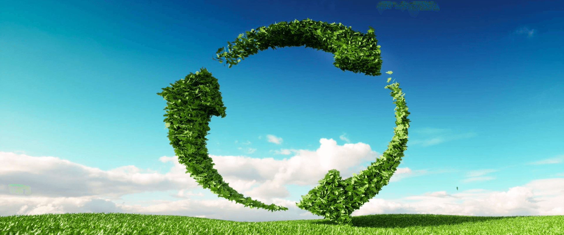 What Makes Sustainable Ecommerce So Special?